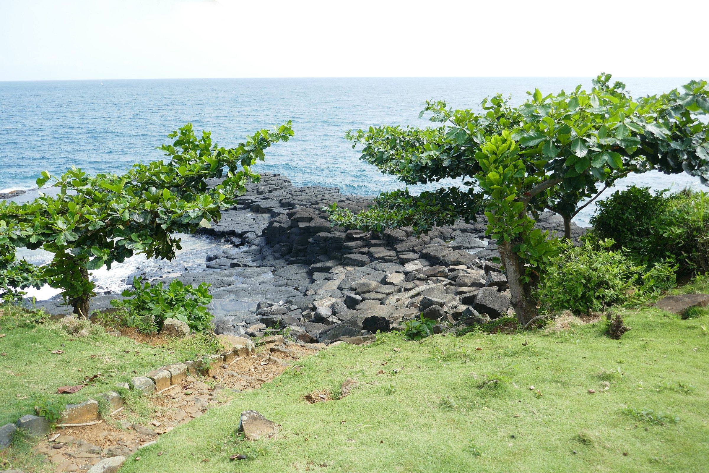 Rocky basalt coastline and trees at Boca do Inferno