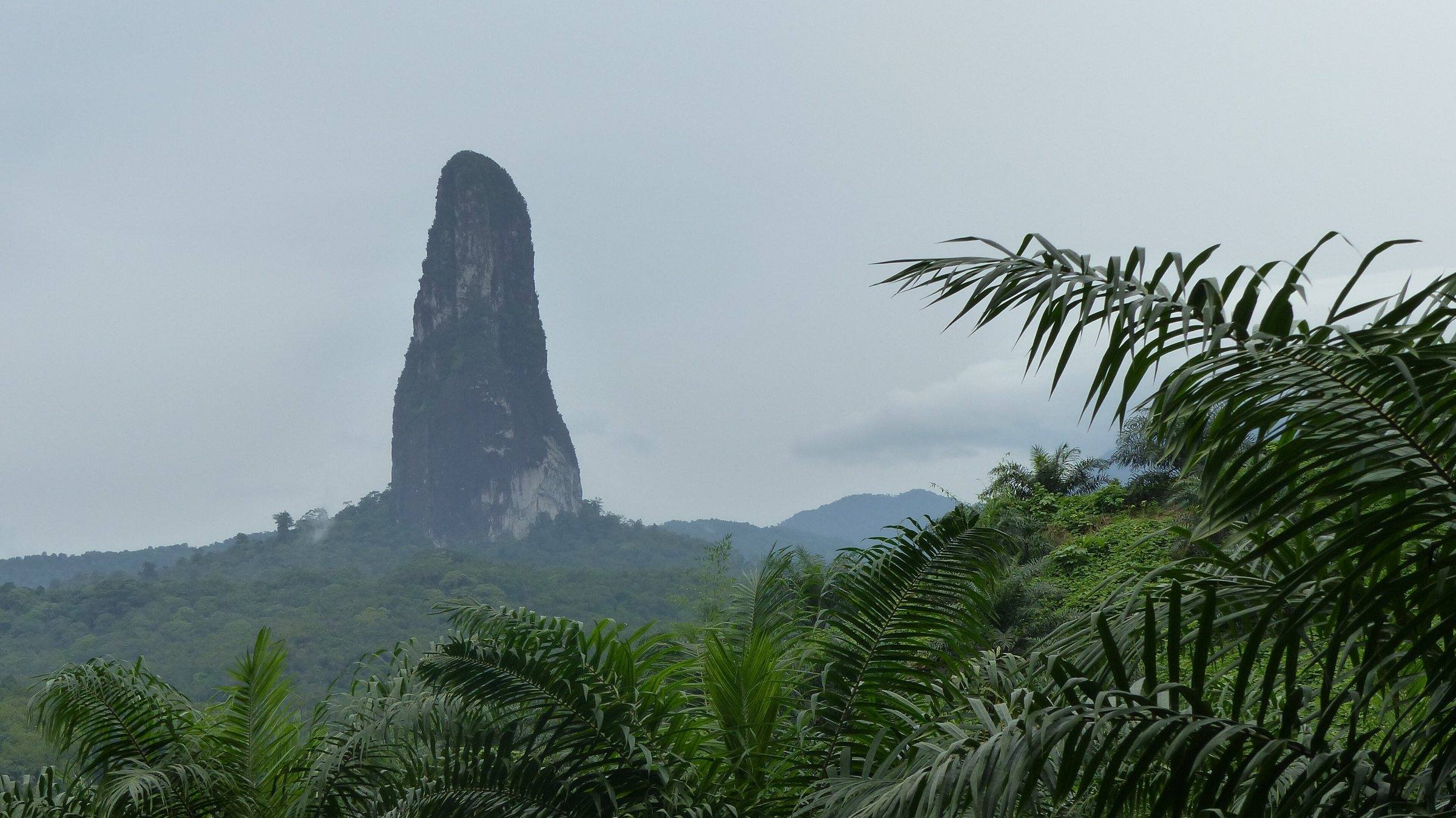 Pico Cão Grande rising above the forest