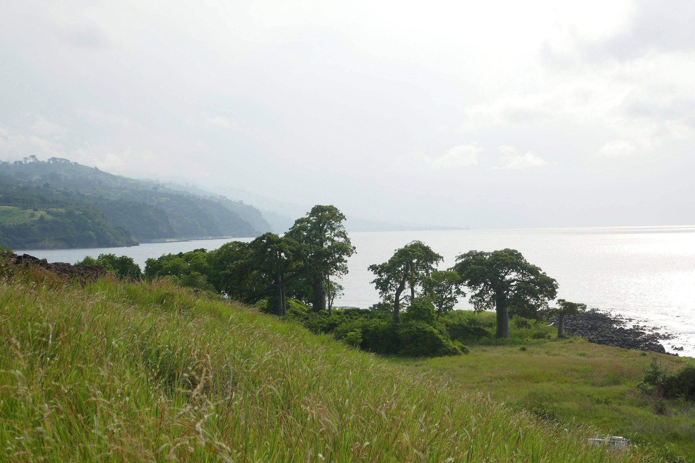 Grassland with baobabs running down to the sea along the north coast