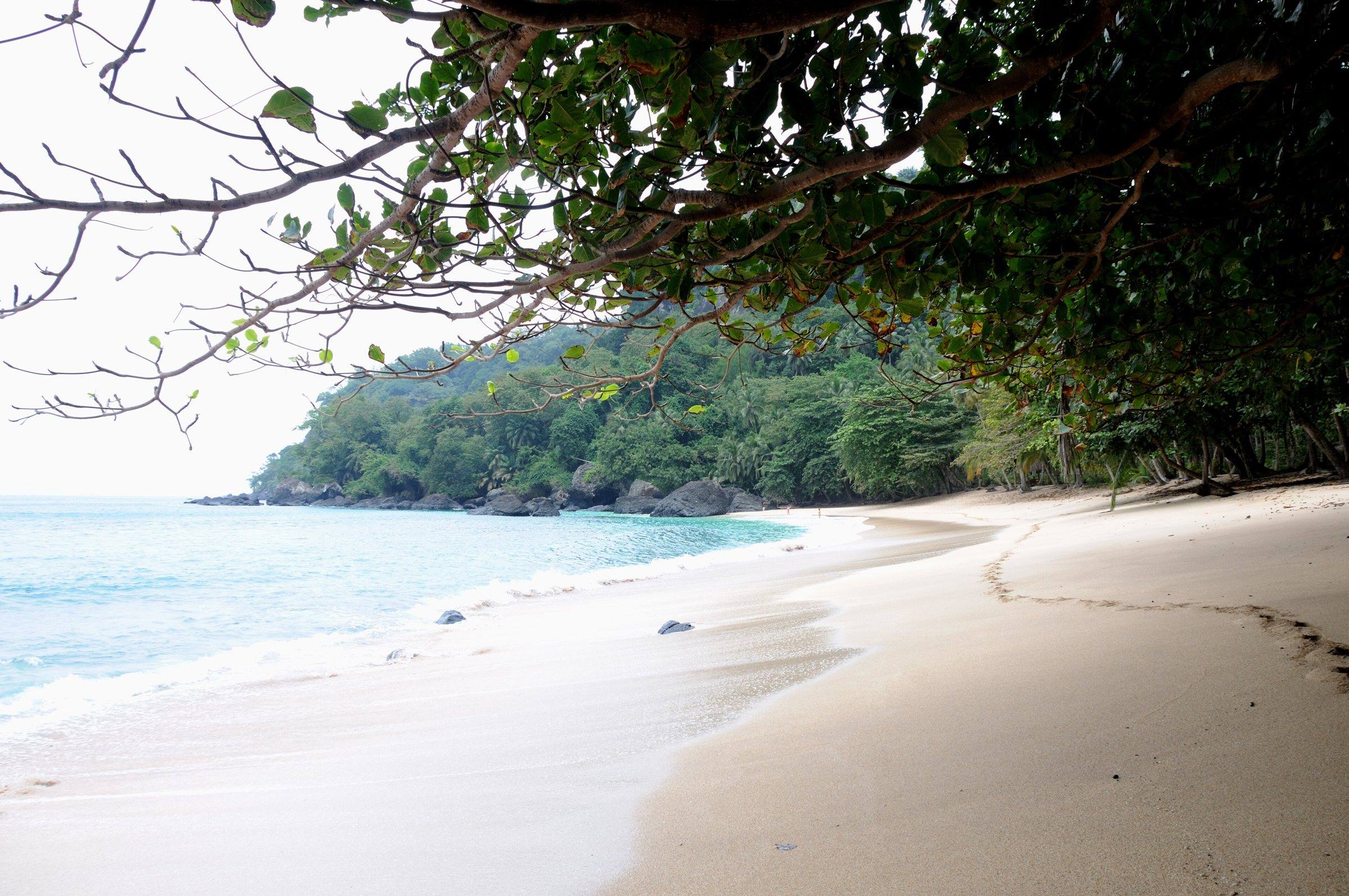 White sand and turquoise water under trees at Praia Banana