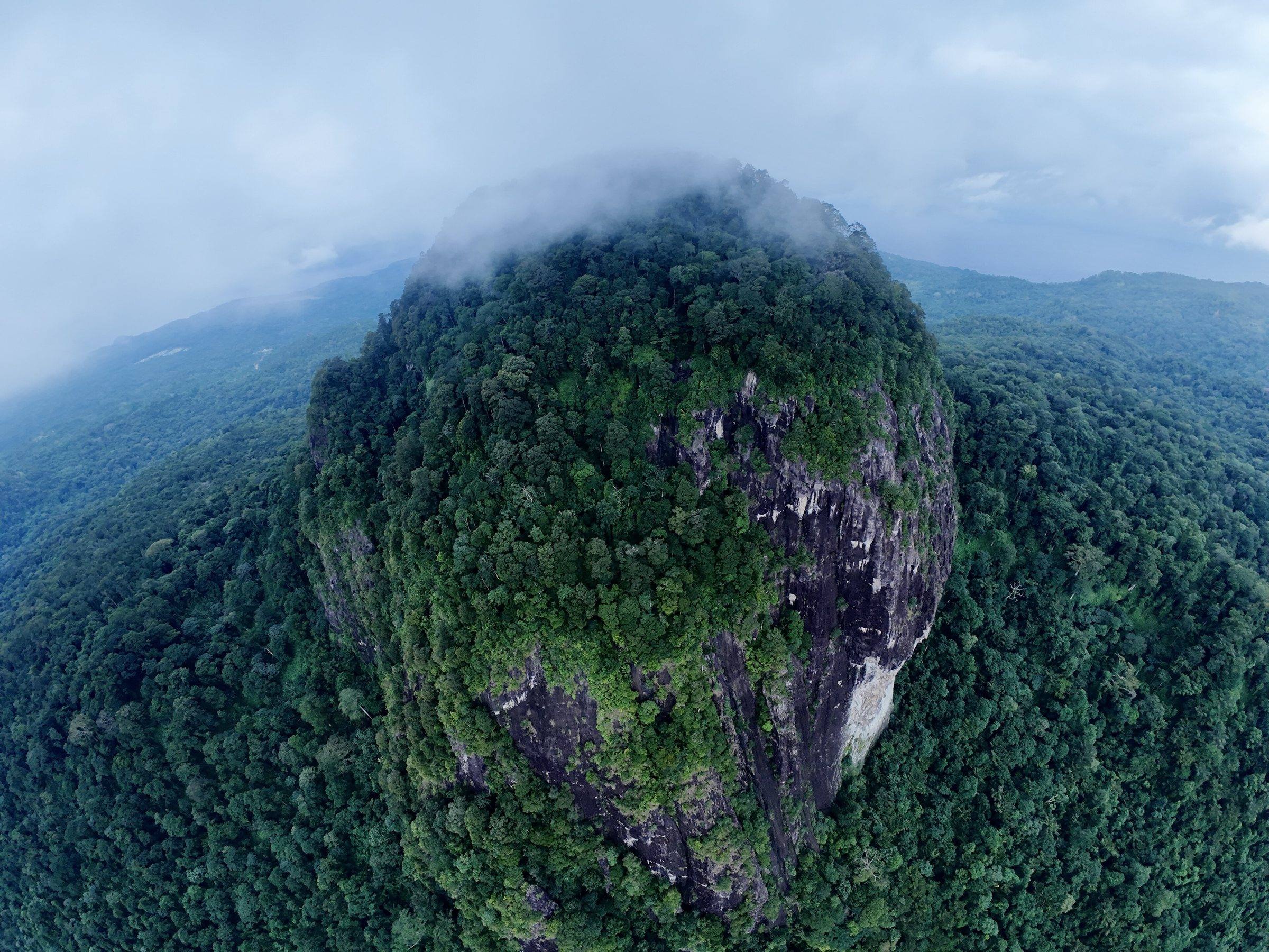The forest-covered rock dome of Pico Papagaio wrapped in cloud