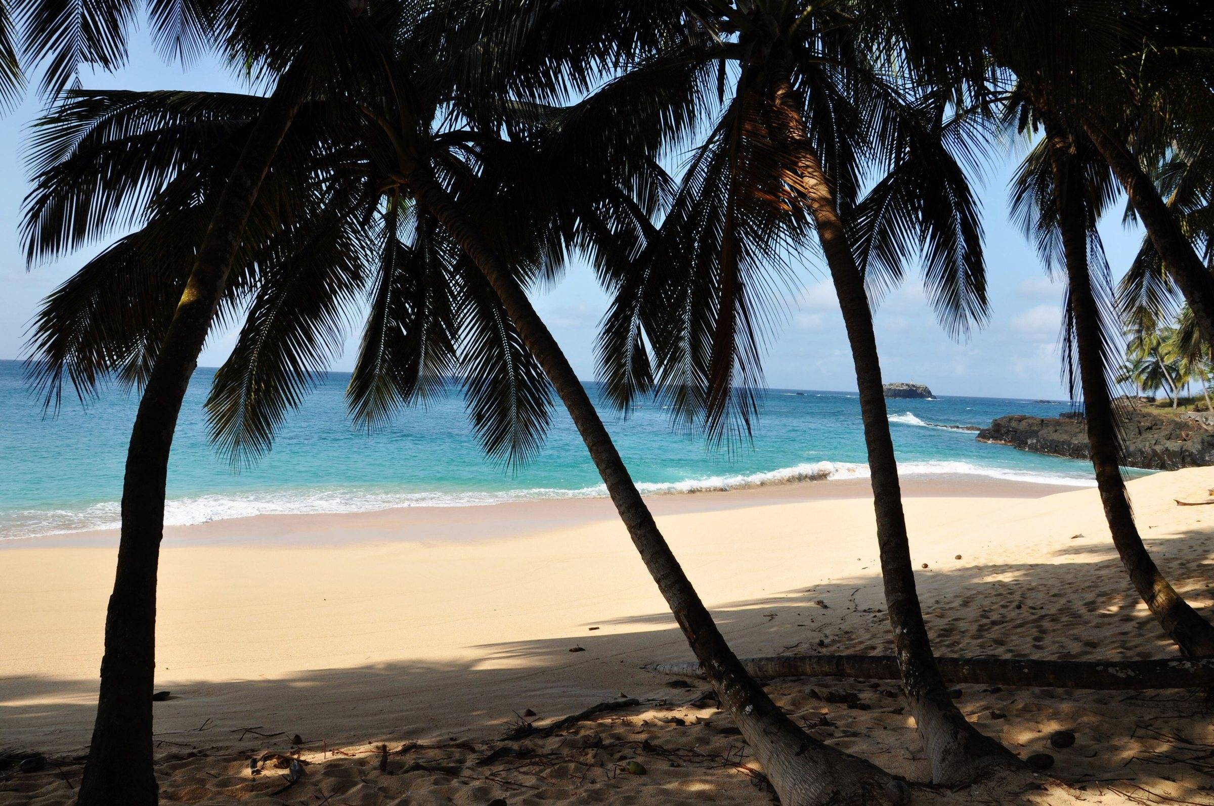 Leaning coconut palms over pale sand and turquoise water at Praia Boi, Príncipe