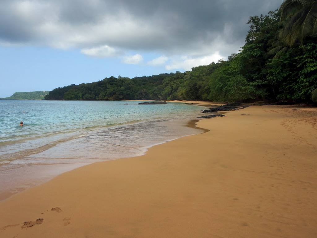 Golden sand curving along a forested shore at Praia Rita