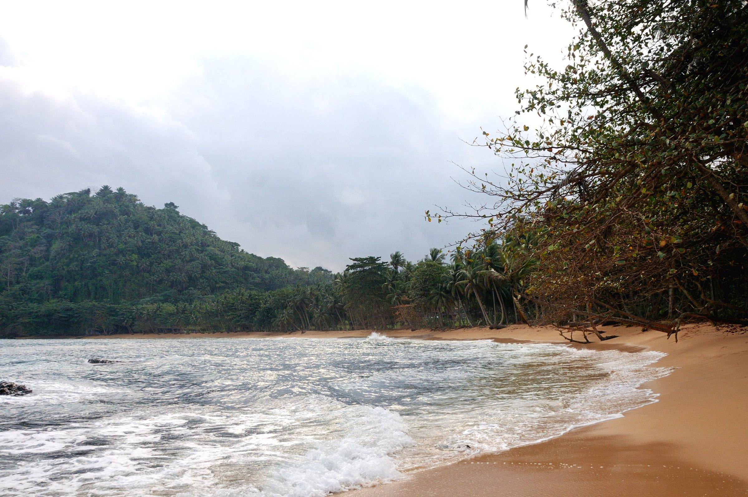 A curved sandy bay backed by rainforest at Praia Inhame in the far south of São Tomé