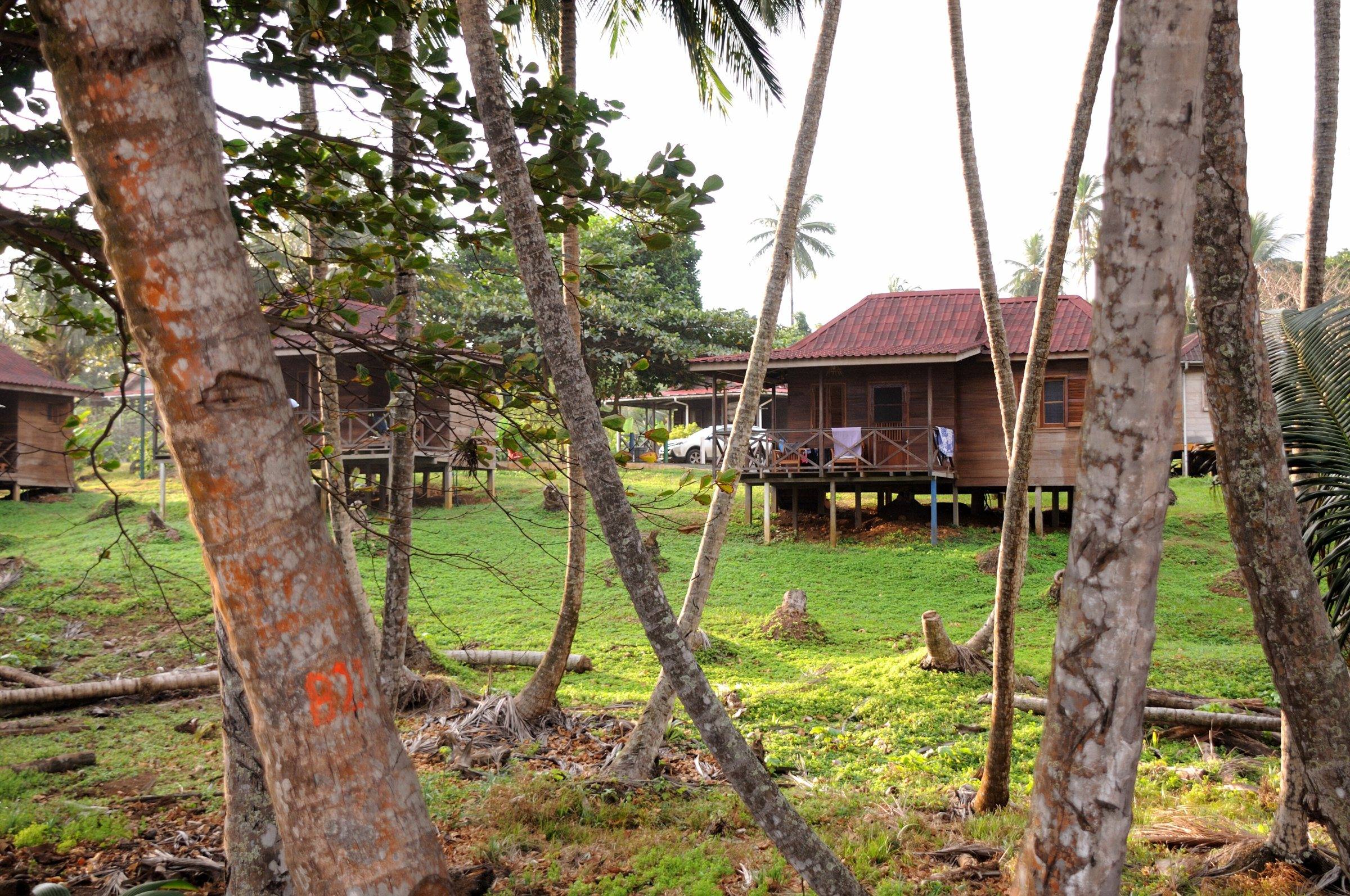 Wooden eco-lodge cabins among palm trees behind Praia Inhame