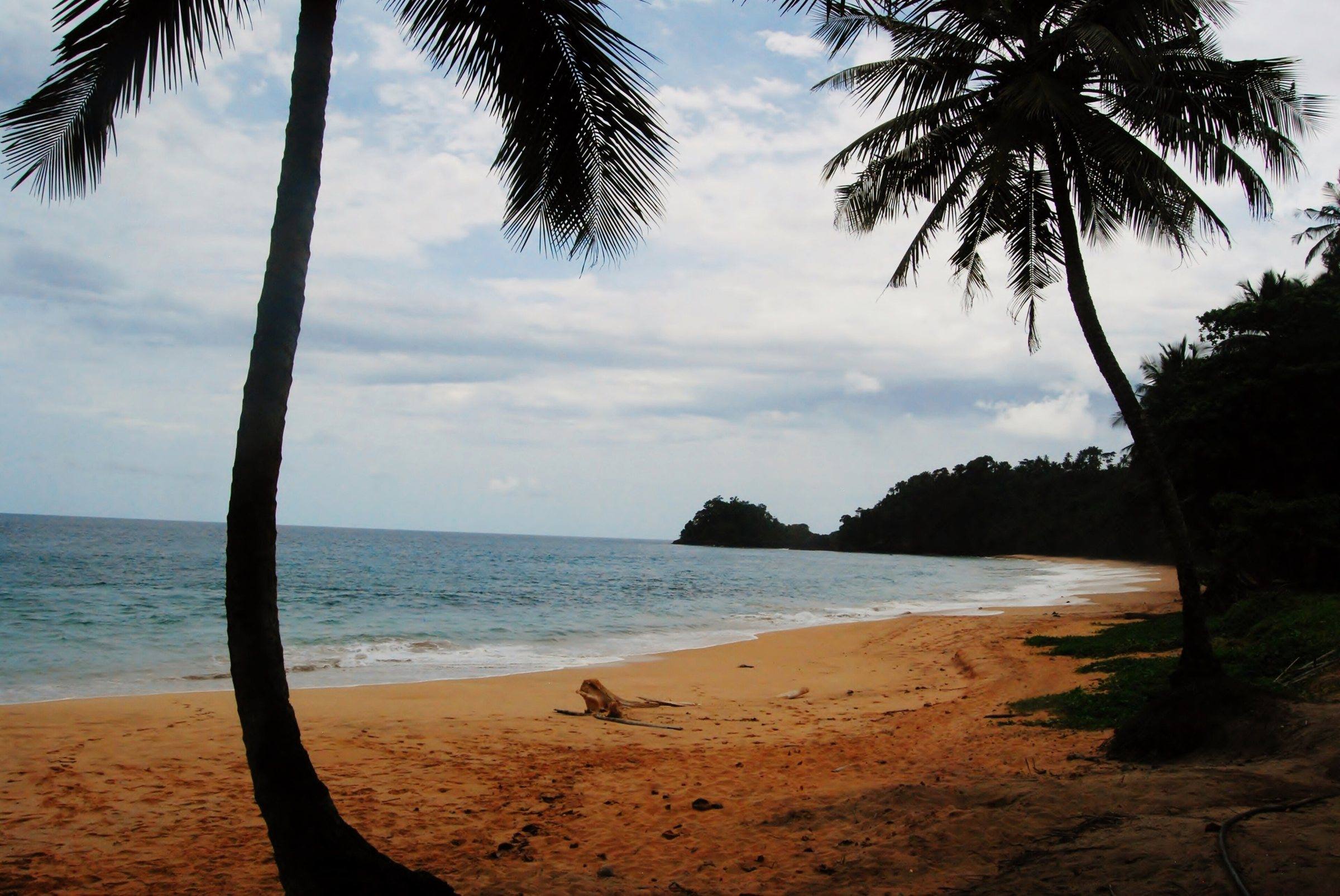 Palm-fringed Praia Jalé, a turtle nesting beach