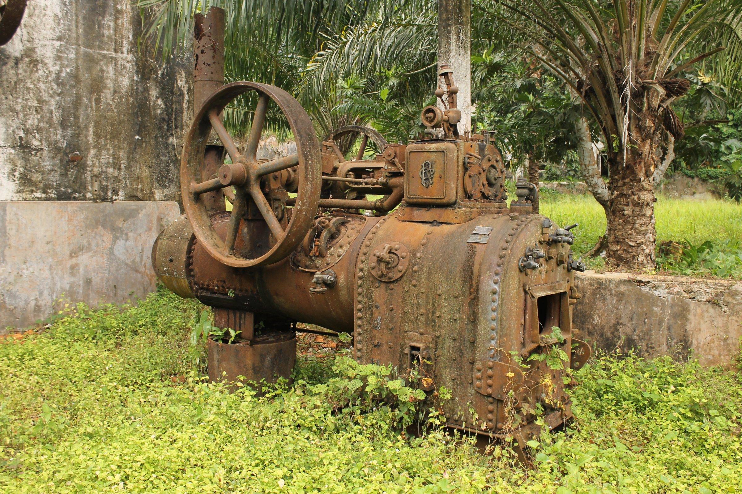 A rusting steam engine overgrown by plants at a former plantation on Príncipe
