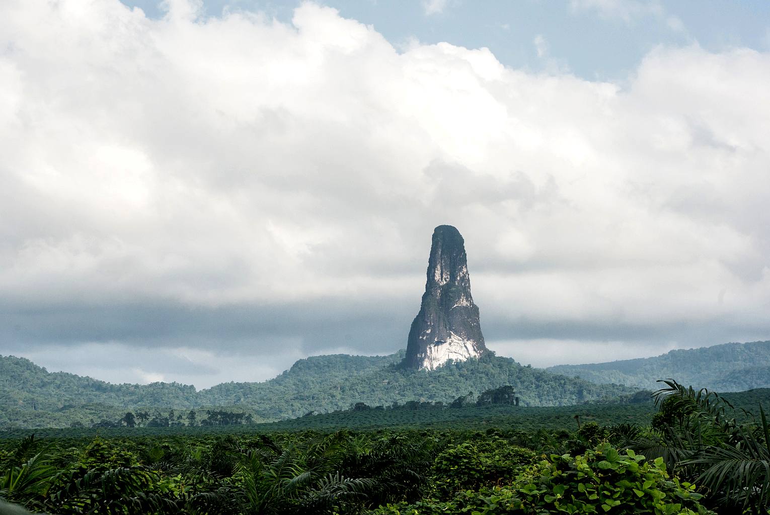 Pico Cão Grande seen across a wide stretch of forest